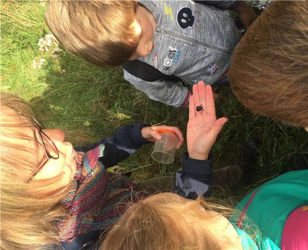 Die Spinnen wurden genau untersucht.