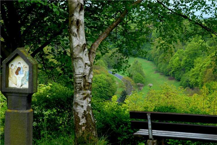 Die Stadt Andernach bietet für Kinder zwischen sechs und zwölf Jahren ein buntes Herbstferienprogramm. An fünf verschiedenen Standorten geht es unter dem Motto „Schatzkarte Wald“ hauptsächlich um Natur und Umwelt. Foto: Stadt Andernach/Maurer