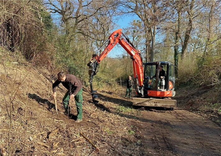 Die Stadt Andernach hat ihr beliebtes Naherholungsgebiet, die Mayener Hohl, in den vergangenen Monaten umfassend forstwirtschaftlich aufgewertet. Foto: Stadtverwaltung Andernach / Regina Unruh