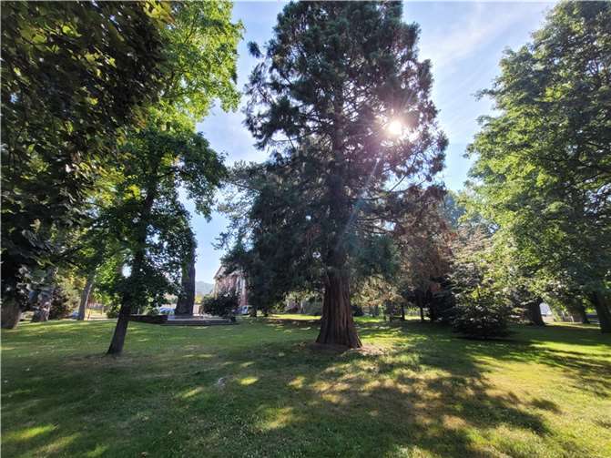 Die Stadt Bendorf erhält hohe Fördersummen von der KfW zur Förderung der Biodiversität und des natürlichen Klimaschutzes im Stadtpark und im Schlosspark. Quelle: Stadt Bendorf