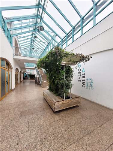 Die Stadt Bendorf übernimmt in Kooperation mit dem MakerSpace MYK die Pflege für die Begrünungselemente.  Foto: Stadt Bendorf