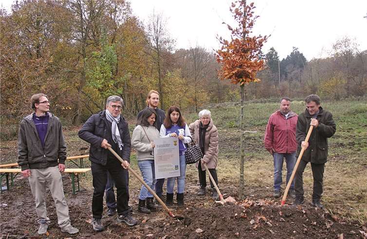 Die Stadt Sinzig spendete sieben Ehrenbäume.