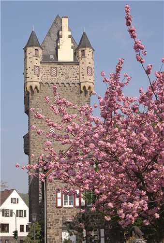 Die Stadtbücherei ist im Theodore-Dreiser-Haus beheimatet. Stadt Mayen