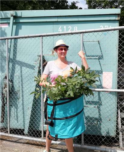 Die Stadtratsfraktion FREIE WÄHLER beantragt das Aufstellen von dezentralen Sammelcontainern.Foto: Kathrin Laymann