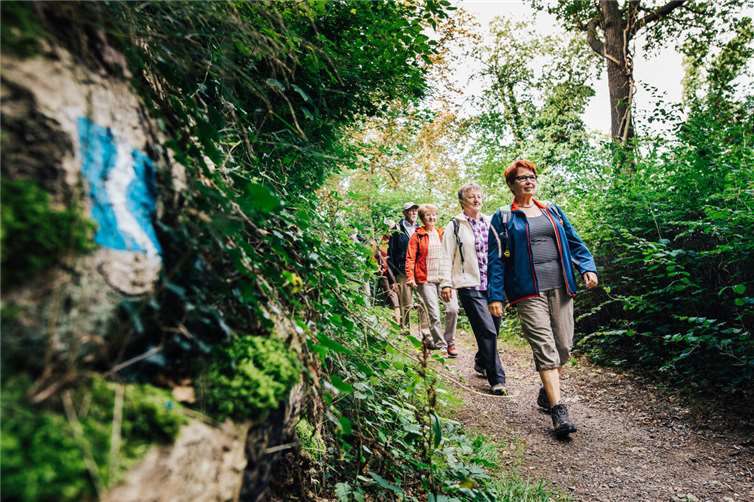 Die Städte Unkel und Linz bieten anlässlich des 20-jährigen Bestehens des Rheinsteigs zwei Wanderungen mit einem Ziel (Streetfood-Festival) an.Foto: Frank Metzemacher