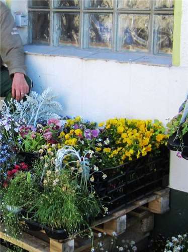 Die „Staudenkiste“ im Bauhof an der Linzer Straße wartet auf bunte Sachspenden.