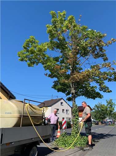 Die Straßenbäume in Unkel benötigen Wasser und die 2000 Liter aus dem Tank des Bau- und Betriebshofes reichen nicht aus. Deshalb bittet Stadtbürgermeister Gerhard Hausen die Bevölkerung um Unterstützung bei der Bewässerung.  Archivfoto: Kulturstadt Unkel / Thomas Herschbach