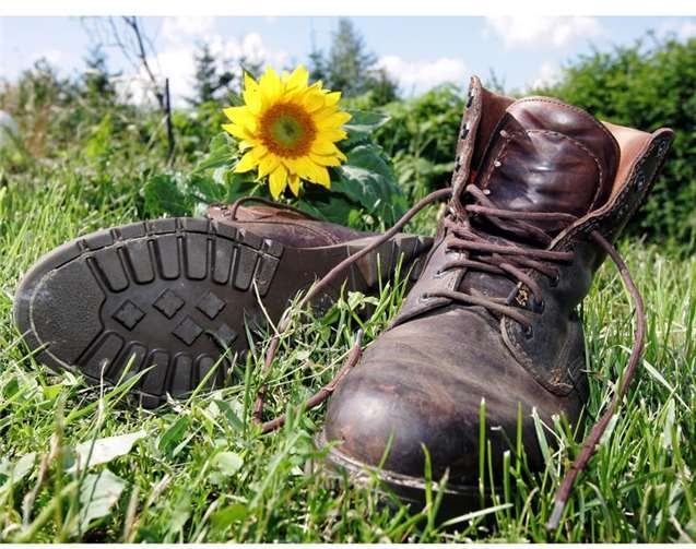 Die Strecke verläuft größtenteils auf befestigten Wegen, festes Schuhwerk reicht aus. Foto: Touristinformation Remagen