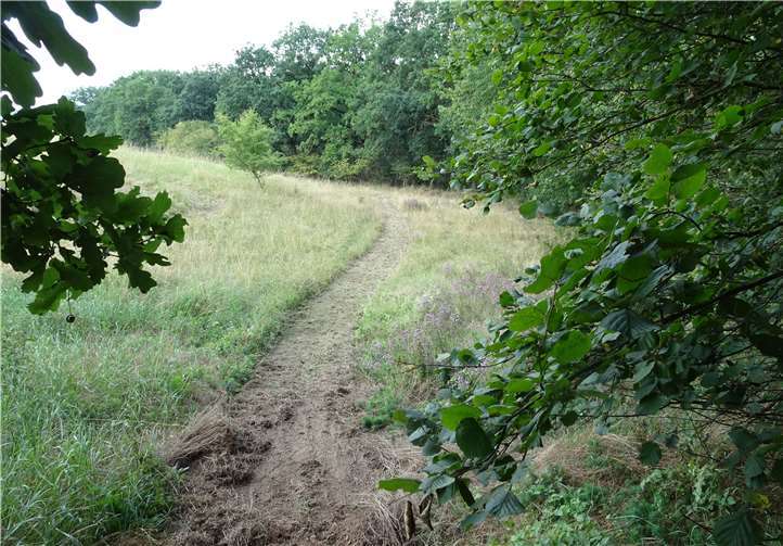 Die Streckenführung wurde durch Mulchen kenntlich gemacht. Foto: privat