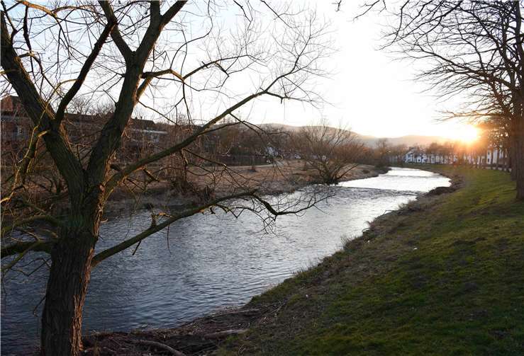 Die Streuobstwiese in Richtung Ahrweiler.