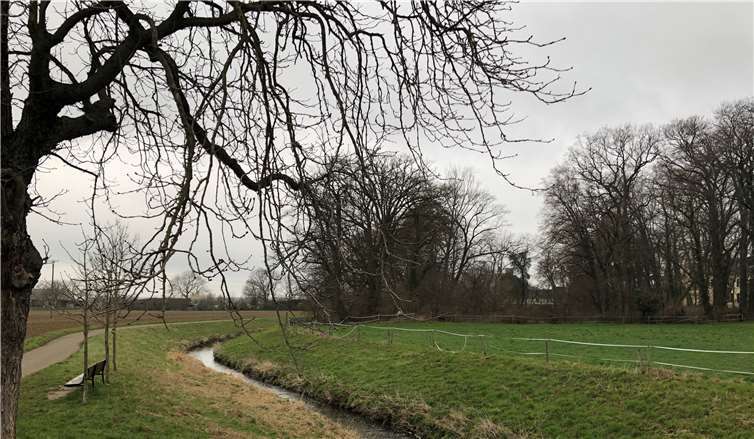 Die Swistaue in Morenhoven. Foto: privat