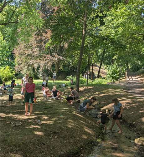 Natur und Wasserforscher“ in Vallendar  Die Teilnehmenden begaben sich mit Keschern, Becherlupen und viel Neugier auf eine spannende Expedition entlang der Meerbach.