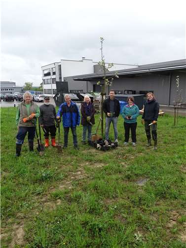 Die Teilnehmenden der Pflanzaktion (von links nach rechts): Werner Haag, Heinz Klein, Robert Klein (alle ANUAL e.V.), Barbara Schneider (Netzwerk Blühende Landschaft), Leon Weiss (Dornbusch GmbH), Leah Nebel, Linda Müller (beide SNU).  Foto: ANUAL e.V.