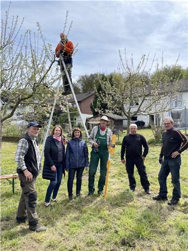 Die Teilnehmenden hatten auch die Möglichkeit, ihr Wissen an weiteren Obstbäumen in die Praxis umzusetzen.  Foto: Sabine Hanuschke
