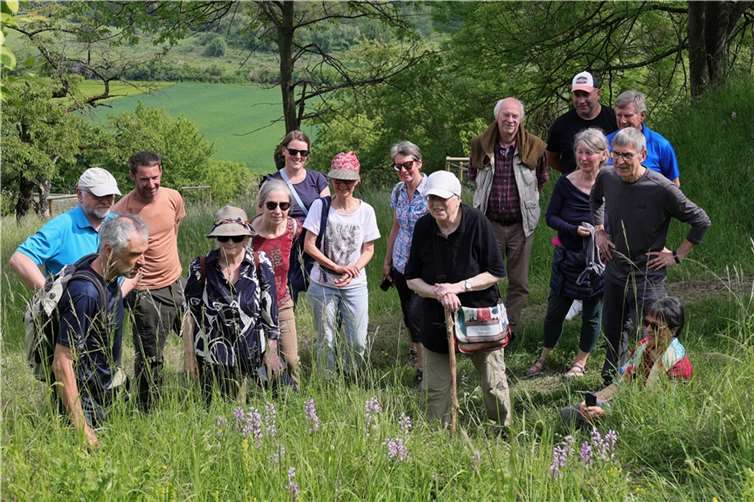 Die Teilnehmer der Orchideenführung des NABU Ahrweiler.  Foto: Rea Brinkhoff