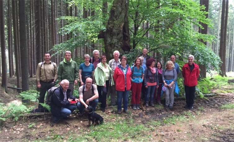 Die Teilnehmer der Wanderung an der alten und neu gepflanzten Kosakenbuche. privat