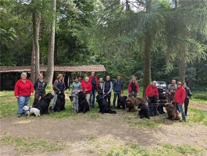 Die Teilnehmer der Wanderung des Allgemeinen Deutschen Klub für Neufundländer in Bell.  Fotos: privat