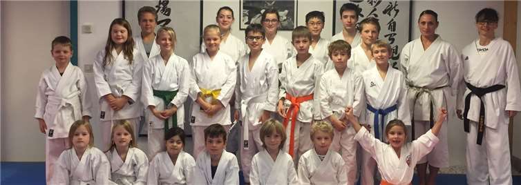 Die Teilnehmer der letzten Kyu-Prüfung für dieses Jahr überzeugten mit ihren Leistungen.privat