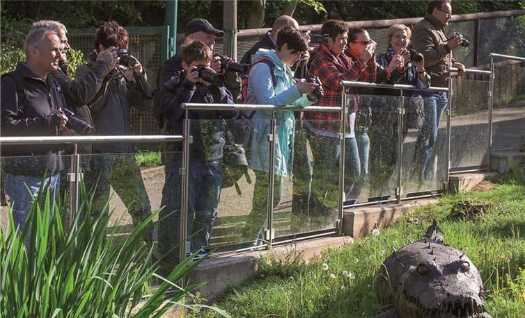 Die Teilnehmer des Kurses am Gehege der Flamingos.privat