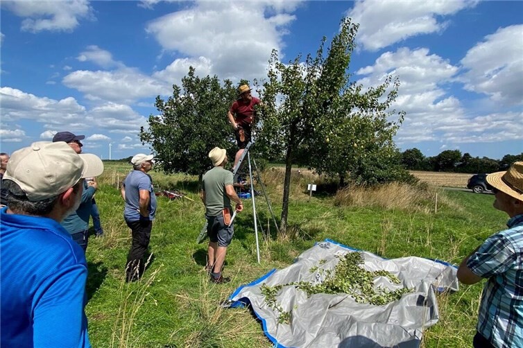 Die Teilnehmer des Schnittkurs in Kehrig im vergangenen Jahr.