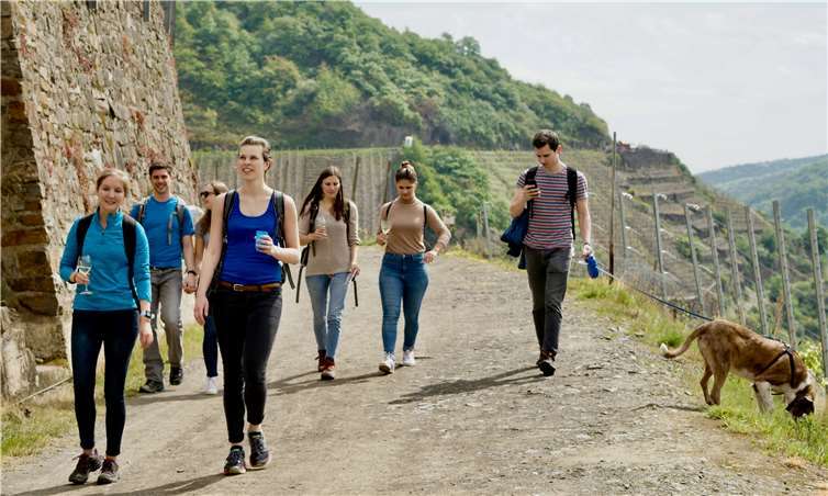 Die Teilnehmer konnten die ausgeschilderte rund 8,5Kilometer lange Route in Teilstücken oder komplett erwandern.