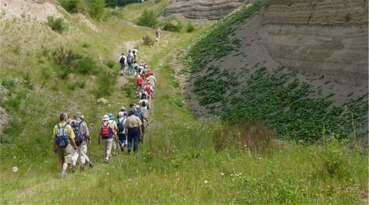 Die Teilnehmer wandern mit den Bürgermeistern durch Wiesen- und Waldlanschaften der Region. Fotos: Tourist-Information Vulkanregion Laacher See