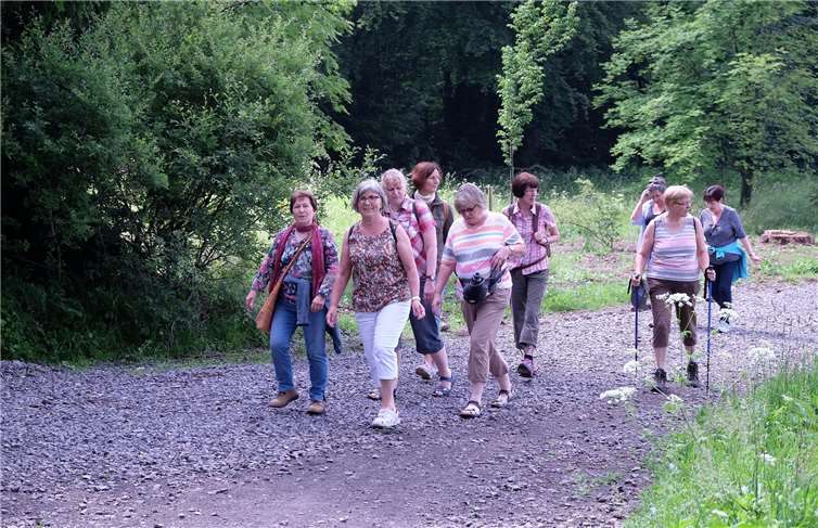 Die Teilnehmerinnen der Reise wanderten zu den Sehenswürdigkeiten im Vogelbergkreis.privat