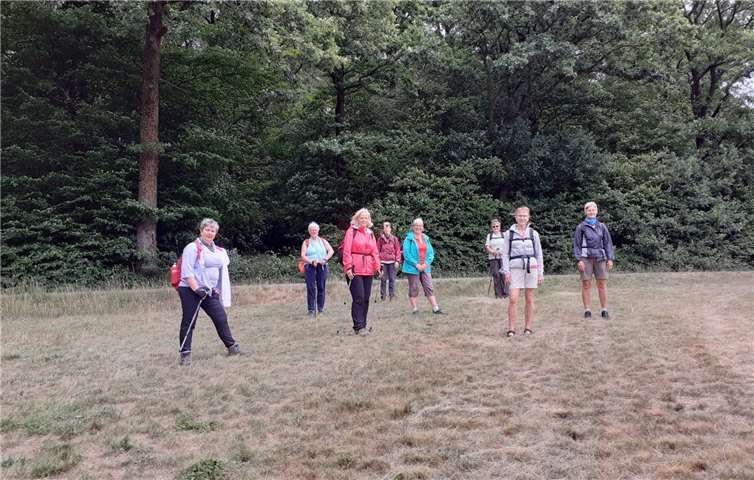 Die Teilnehmerinnen der Sommerwanderung. Foto: privat