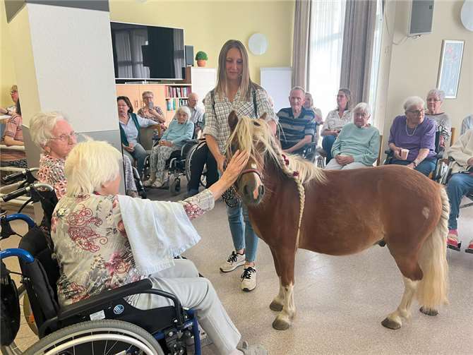Die Therapieponys Sven und Olaf besuchten mit Petra Sabel-Haux von den Ponyfreunden Andernach das Seniorenzentrum Marienstift anlässlich des Aktionstages für Menschen mit Demenz. Foto: Seniorenzentrum Marienstift/Sophie Weißenfels