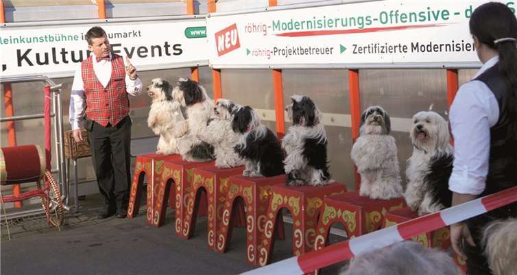 Familiensonntag lockte Massen an Die Tibet-Terrier der Zirkus-Familie Iben kamen beim Publikum besonders gut an. -MT-