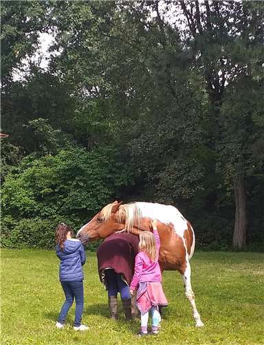 Die Tiere auf dem Gelände hatten eine besondere Anziehungskraft.
