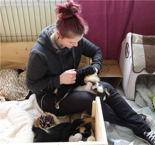 Die Tierpflegerin Inga Roetmann mit den Welpen.