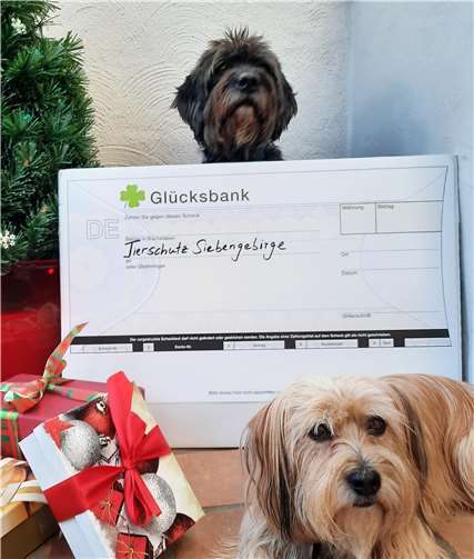 Die Tierschützer freuen sich sehr über jede finanzielle Unterstützung. Foto: Tier-, Natur- und Artenschutz Siebengebirge e. V.