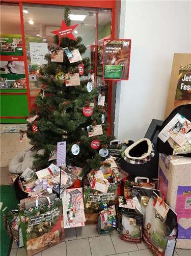 Die Tierschützer freuen sich über Spenden. Foto: privat