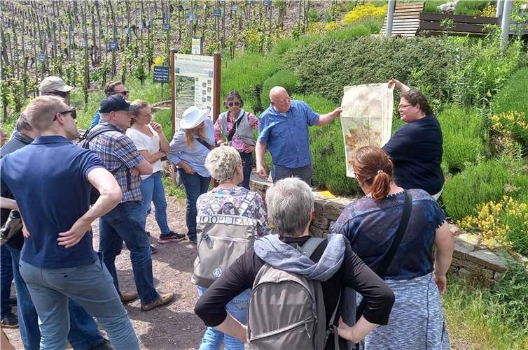 Die Trockenmauern an der Mosel: Kulturerbe und Lebensraum. Quelle: Lehmer Razejunge