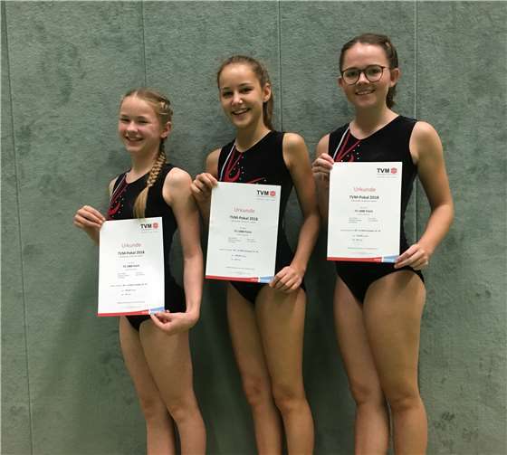 Die Turnerinnen der TG Polch zeigten zufriedenstellende Leistungen. privat