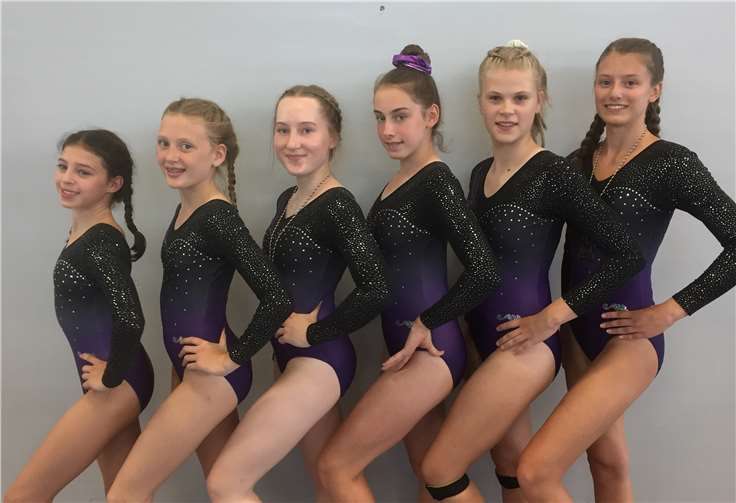 Die Turnerinnen des TV Rheinbach. Fotos: privat