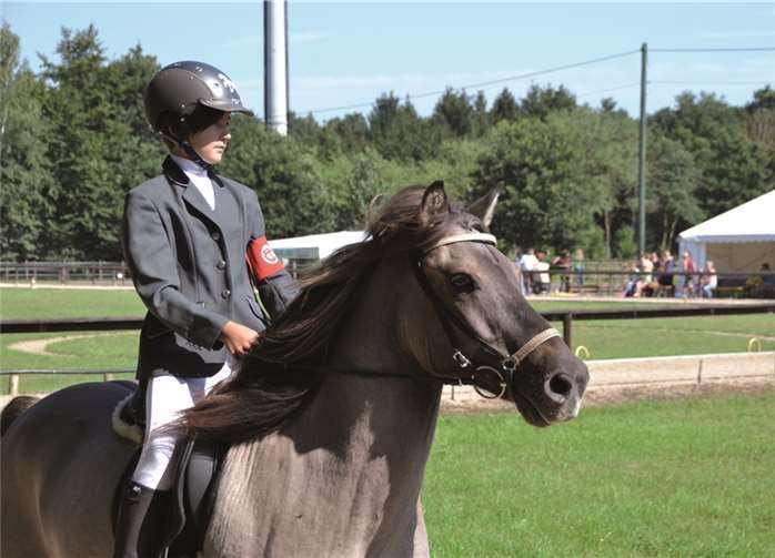 Die U10-Nachwuchsreiterin Edda macht auf ihrem Isländer bereits eine sehr gute Figur.Weigert