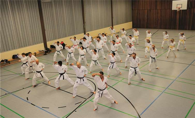 Die Ü-30 Gruppe des Karate-Clubs Puderbach beim Training während eines Trainingslager-Aufenthaltes. privat