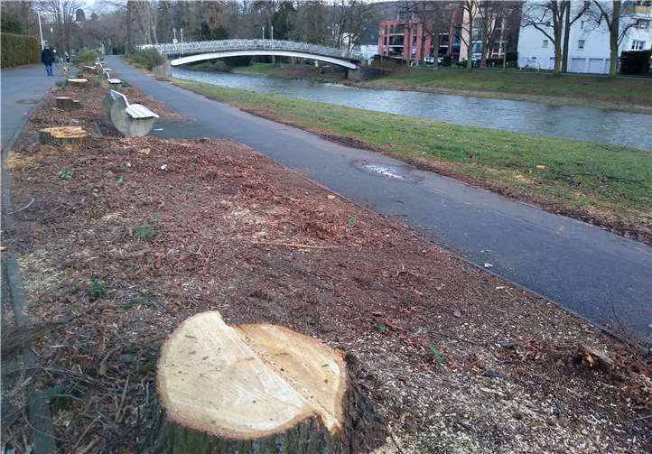 Die Umgestaltung in Bad Neuenahr-Ahrweiler sind beim BUND ein großes Thema. Foto: privat