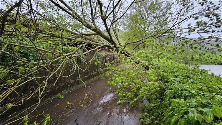 Die Unwetterfront ließ Bäume umstürzen.  Foto: Peter Schäfer