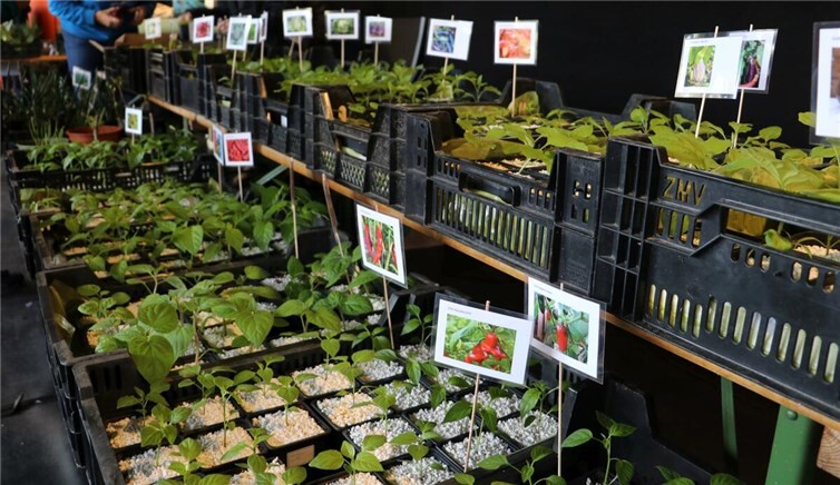 Die Veranstaltung dient dem Erhalt der Arten- und Sortenvielfalt und dem Austausch und Beratung über gesunde, nachhaltige und regionale Ernährung.Foto: privat