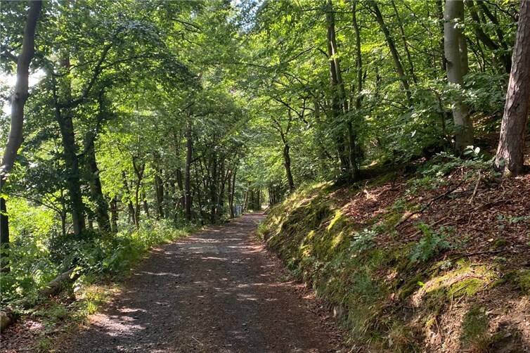Die Veranstaltung findet jeden dritten Freitag im Monat um 15 Uhr statt.