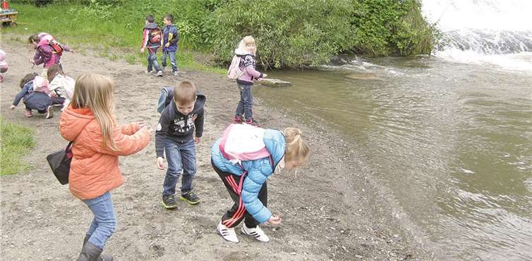 Die Vielfältigkeit der Steine faszinierte die Kinder.  privat