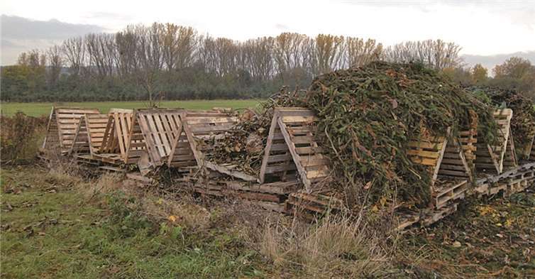 Die Vorbereitungen für das Martinsfest haben begonnen.privat