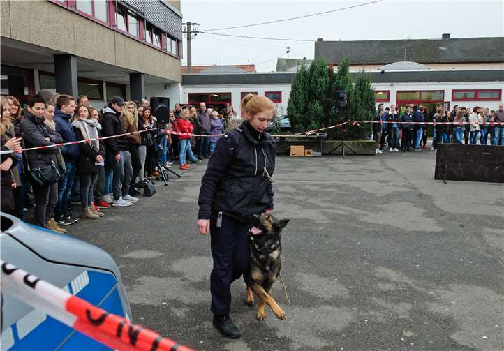 Die Vorführung der Polizeihundestaffel begeisterte die interessierten Gäste. Werner Enders, BBS Lahnstein