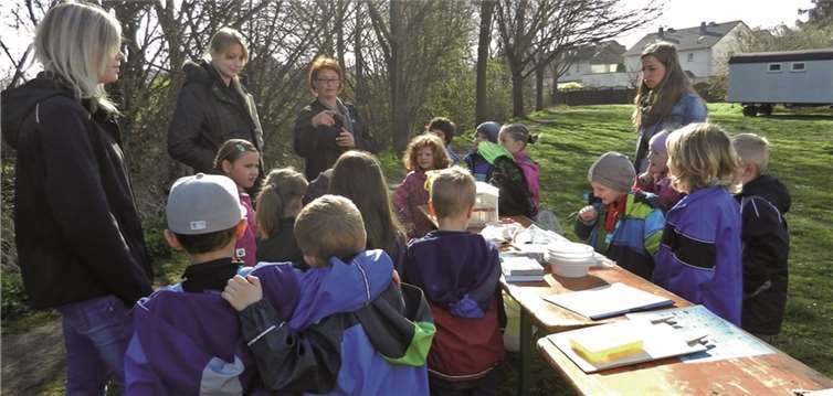 Die Vorschulkinder der Kita Arche Noah nahmen das Bachwasser des Krufter Bachs und die dort lebenden Tiere genau unter die Lupe. privat
