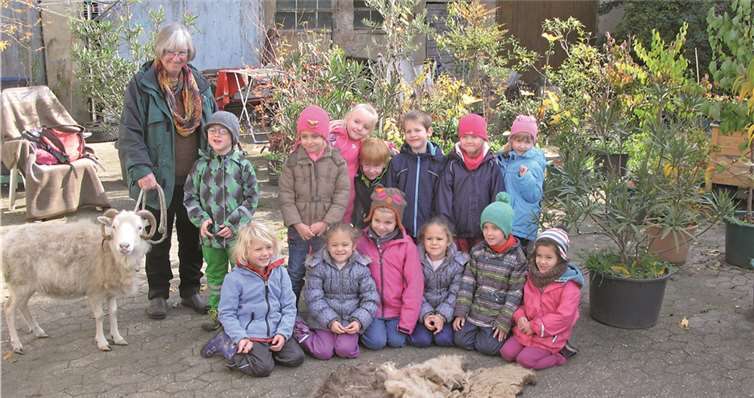 Die Vorschulkinder der Kita Kühr-Niederfell besuchten einen Bauernhof und lernten dort das Schaf "Findus" und seine Wolle kennen.