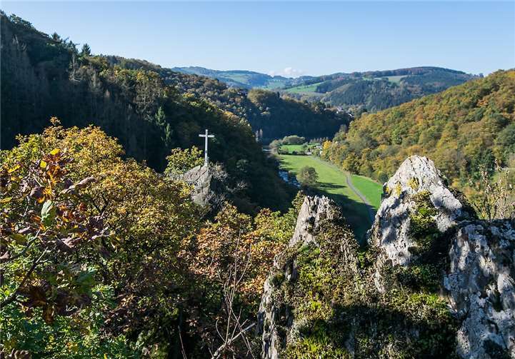 Die Wälder rund um Waldbreitbach laden zum Waldbaden ein. Foto: Andreas Pacek/Touristik-Verband Wiedtal e.V.