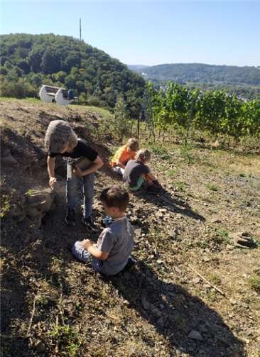 Die Wald- und Wasserkinder sind in Unkel unterwegs. Foto: Familienbildungsstätte Linz